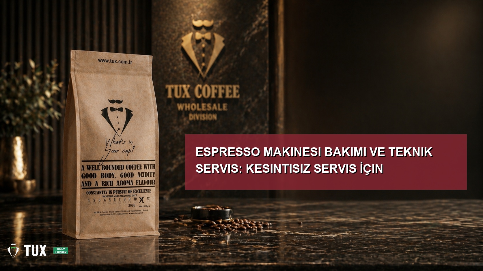 Espresso Makinesi Bakımı ve Teknik Servis: Kesintisiz Servis İçin