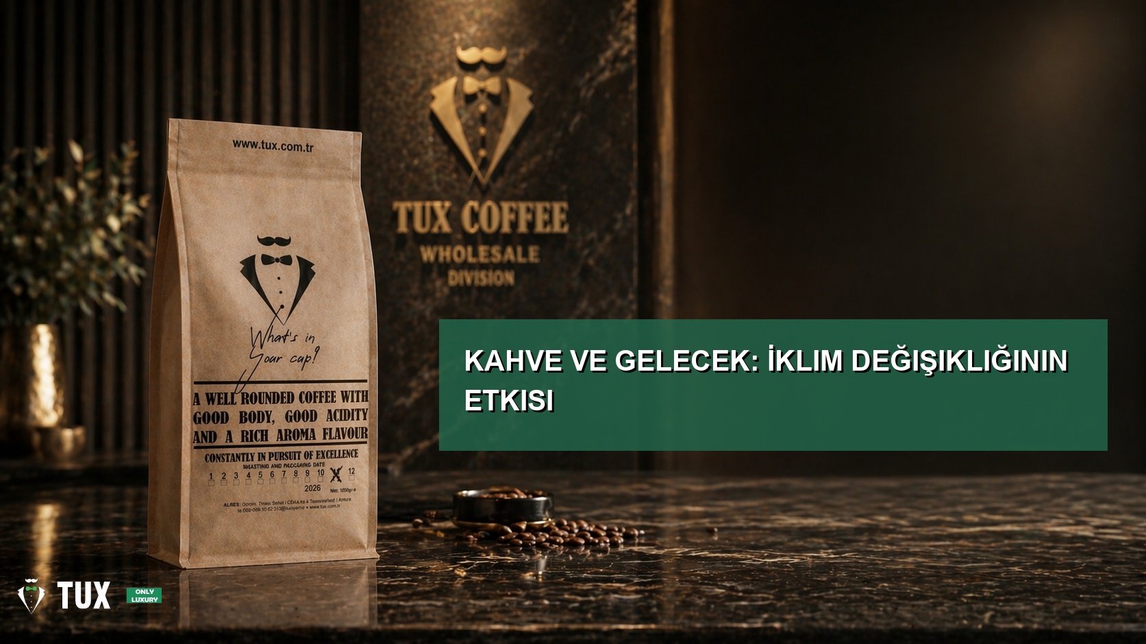 Kahve ve Gelecek: İklim Değişikliğinin Etkisi