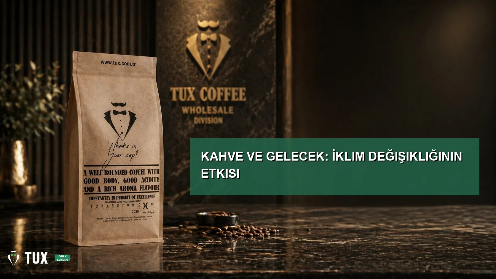 Kahve ve Gelecek: İklim Değişikliğinin Etkisi