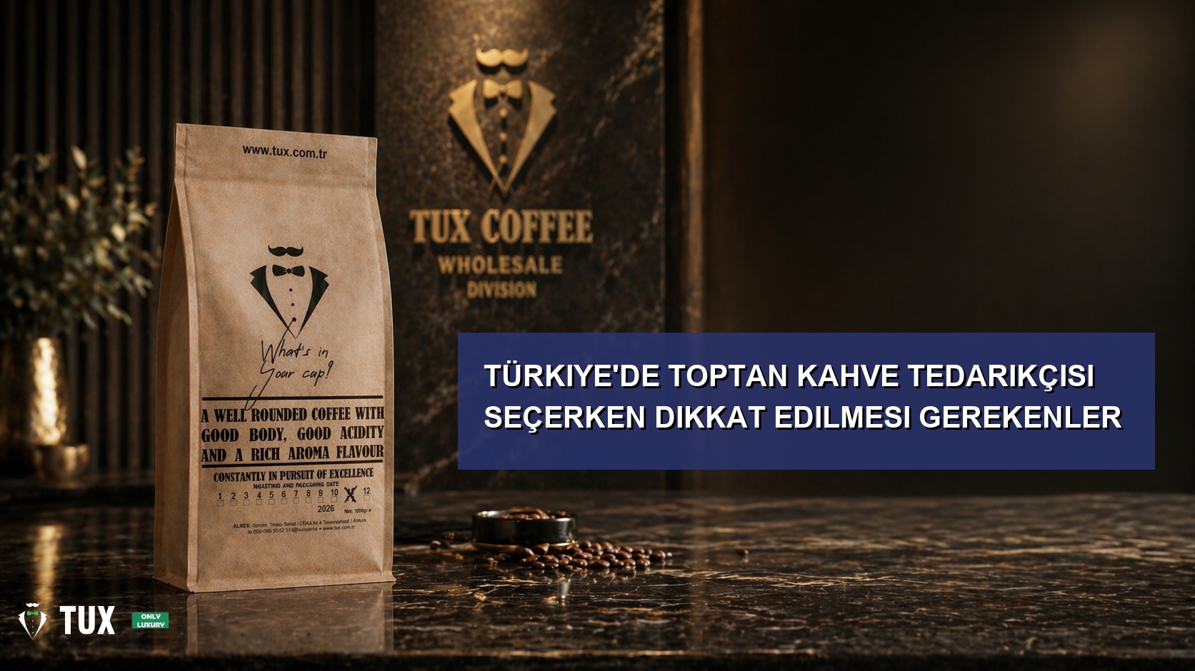 Türkiye'de Toptan Kahve Tedarikçisi Seçerken Dikkat Edilmesi Gerekenler