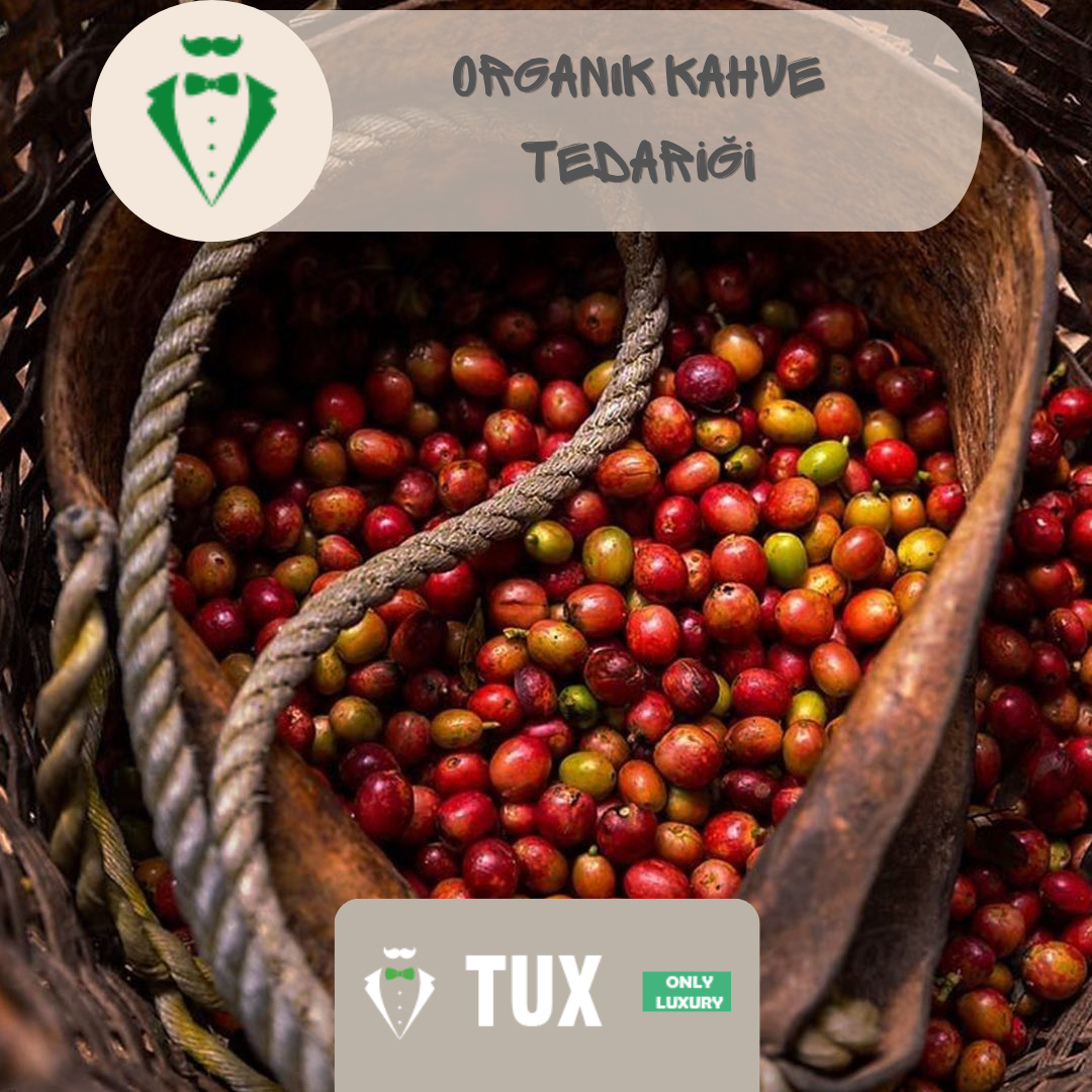 Organik Kahve Tedariki