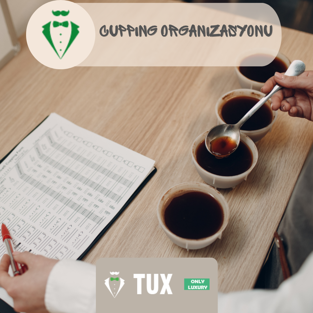 Cupping Organizasyonu