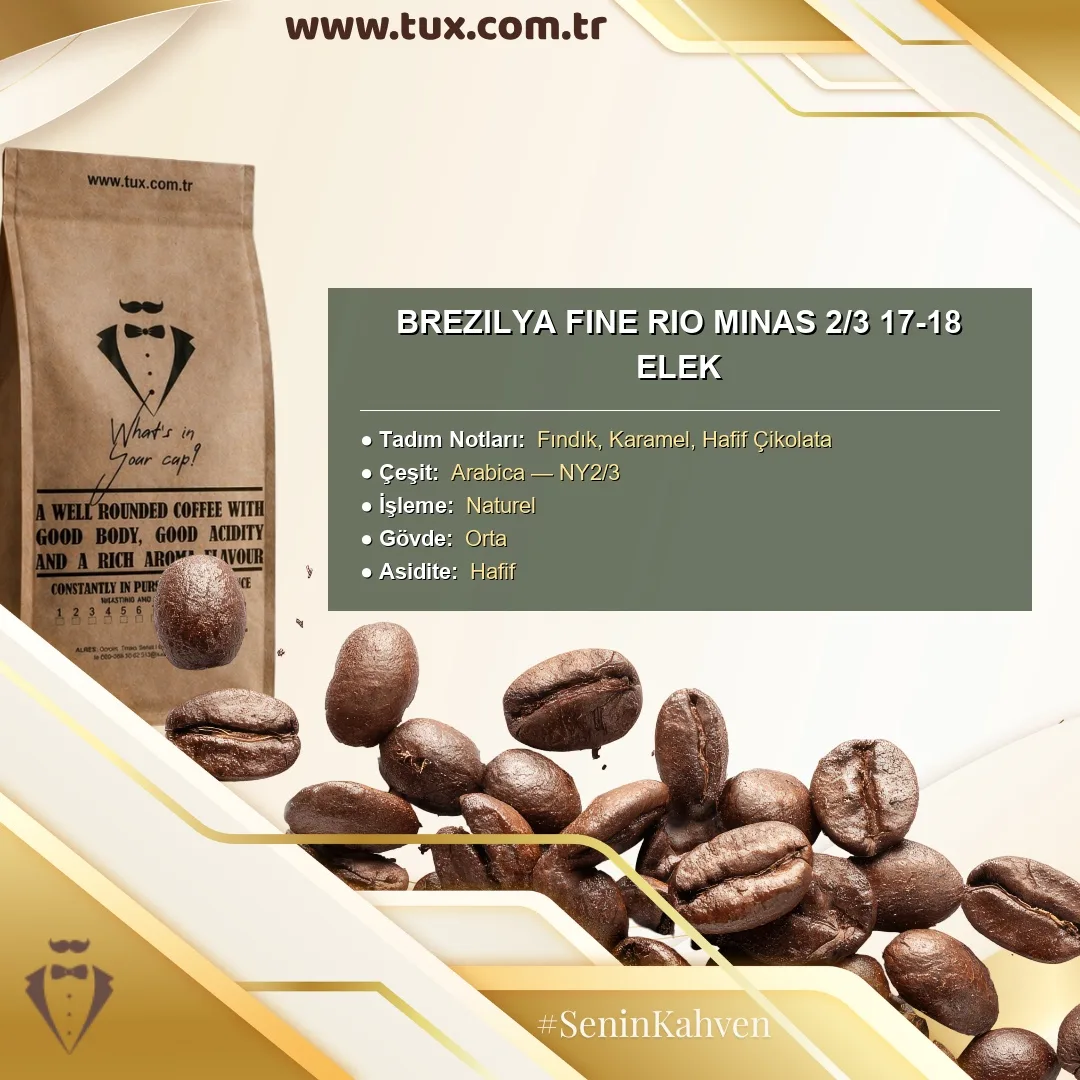 Brezilya Fine Rio Minas 2/3 17-18 Elek