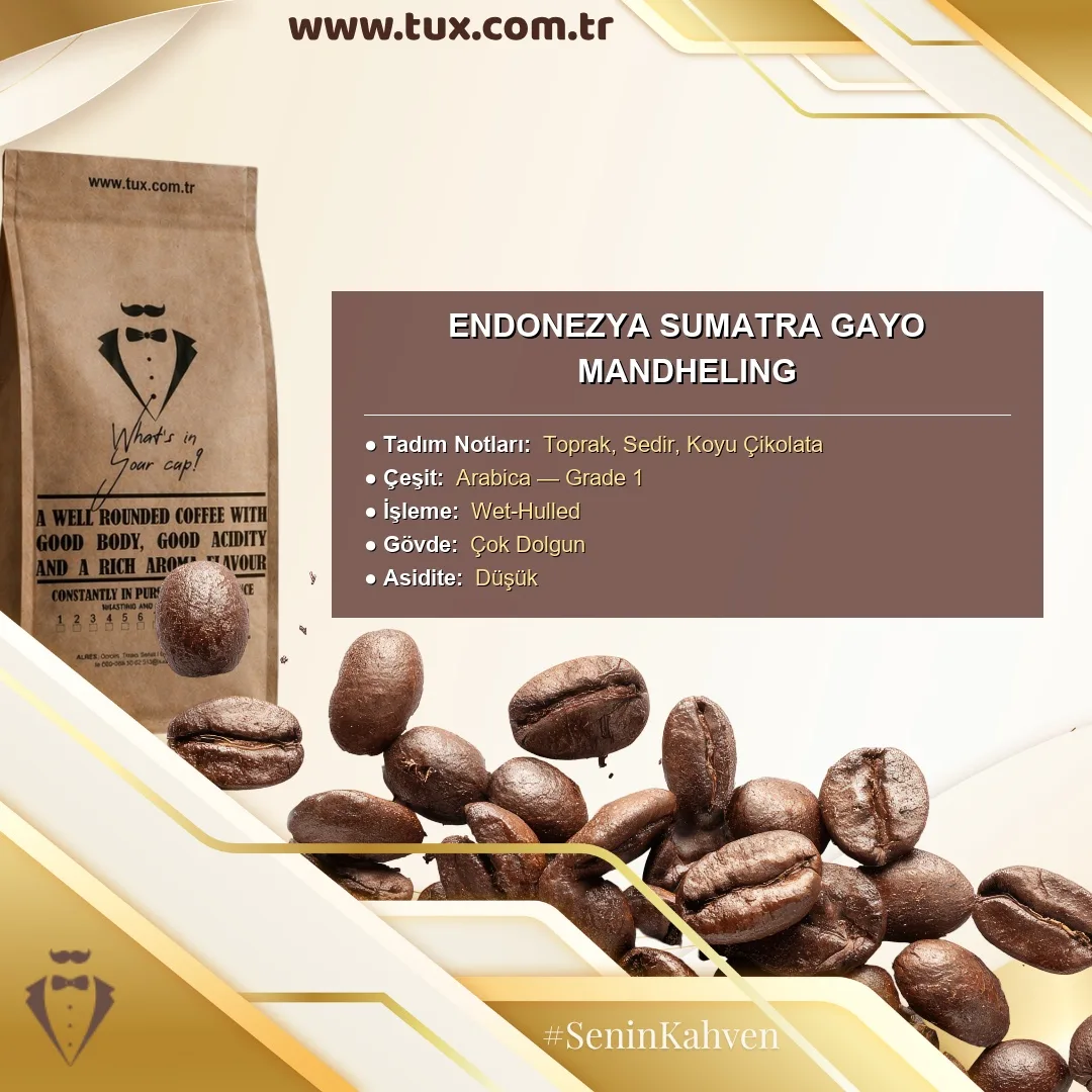 Endonezya Sumatra Gayo Mandheling