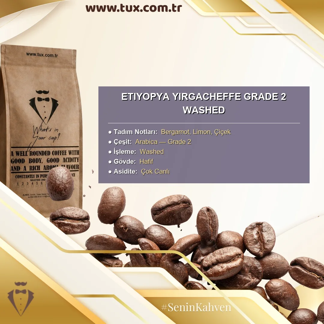 Etiyopya Sidamo Grade 2 Washed